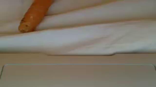 3791liv nude [2016/03/21 06:01:48]