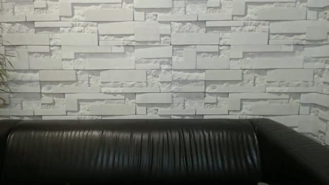 ben_q show [2017/01/19 16:37:19]