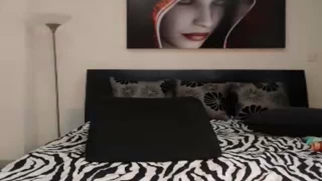 kittydirtty webcam [2017/01/19 17:42:45]