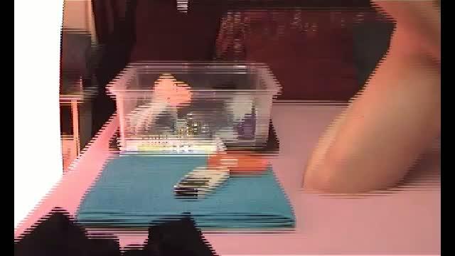 monicutexx show [2017/01/31 19:00:31]