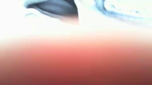 gokceyarr