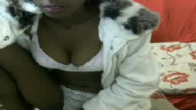 chatte_noir