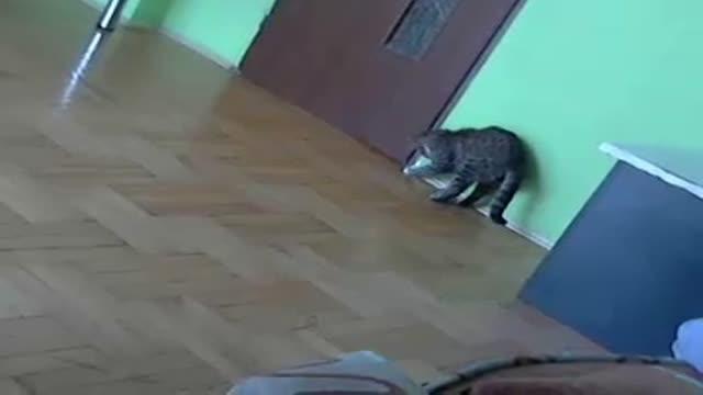 wrrrrrrrrrrrrrr recorded [2015/06/03 07:30:42]