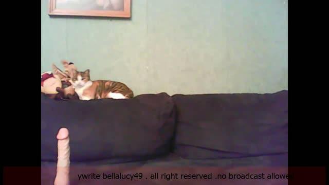 bellalucy49 sex [2015/11/02 21:30:27]