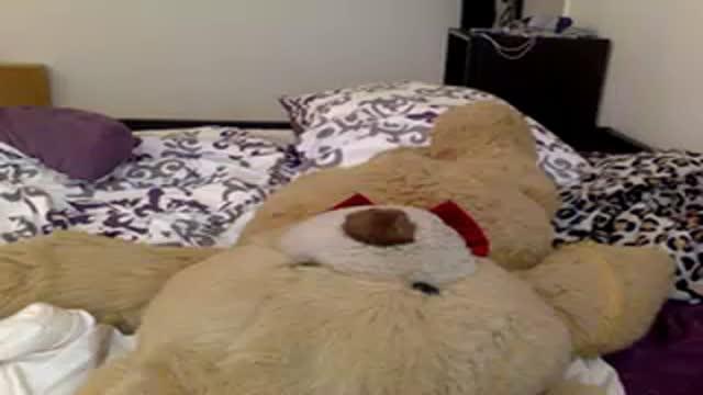 marieofromania recorded [2016/05/27 07:17:23]