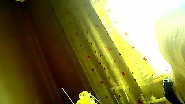 adrastea download [2017/01/21 12:31:22]