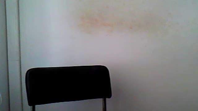 tianna95 recorded [2015/09/15 12:31:13]
