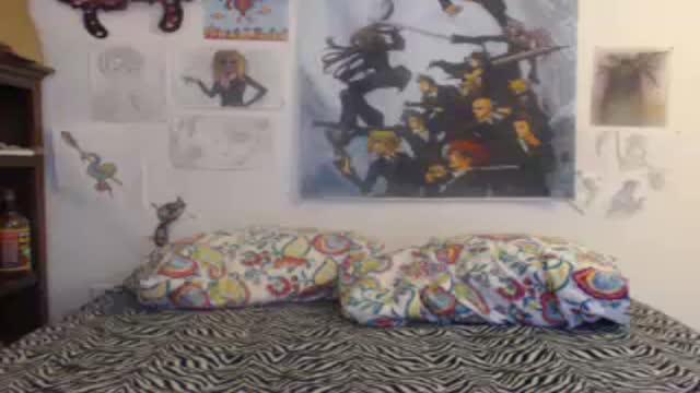 remyray show [2017/01/18 15:18:39]