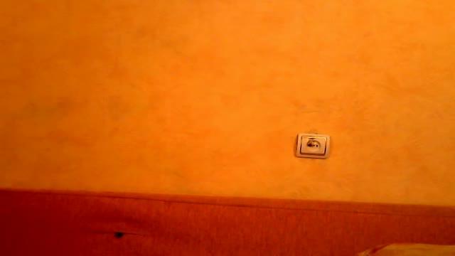 ladyfoxc show [2017/01/22 10:41:12]