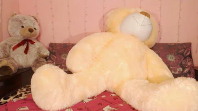 emmyfoxxy webcam [2017/01/19 23:59:01]