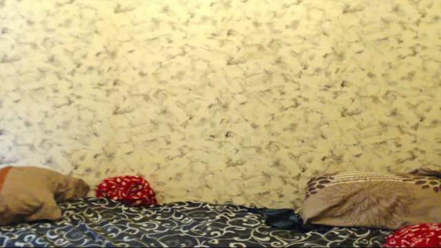 milkymay show [2017/01/19 03:31:22]