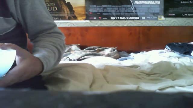 dorinmircea nude [2017/01/19 08:17:27]
