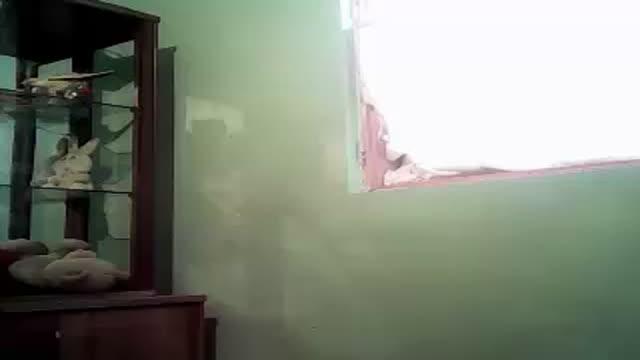 ezmeraldax download [2017/01/22 13:15:41]