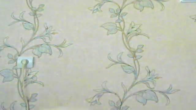 myssika21 show [2017/01/18 16:30:41]