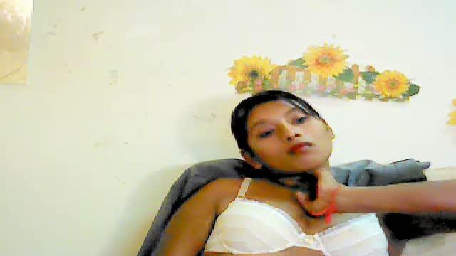 silkindian1 webcam [2015/11/20 02:45:28]