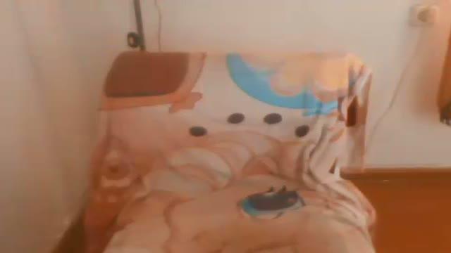 czesti adult [2015/07/25 15:31:29]