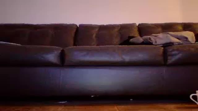 officecouple1 video [2015/11/16 22:46:02]