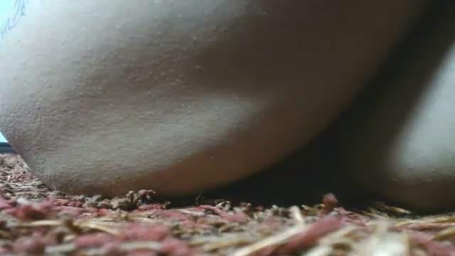katrina_muse