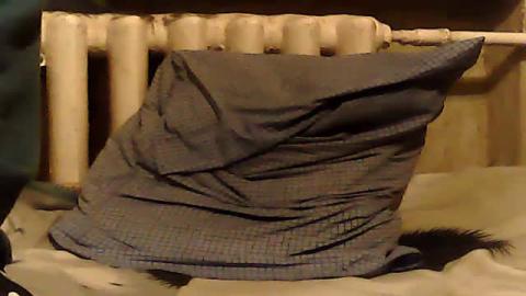 sexy97boy Hitachi Video [2016/10/25 - 22:38:21]