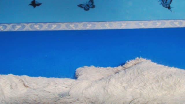 lexax porno [2016/05/08 09:01:19]