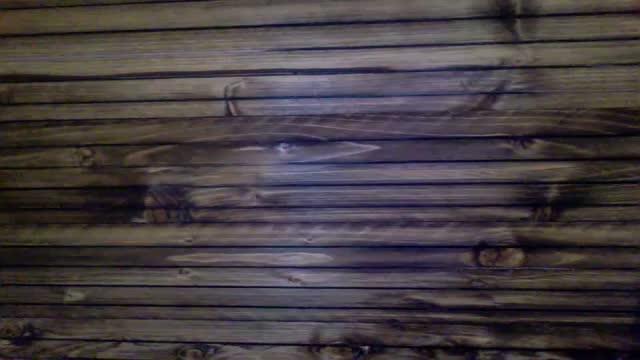 tylerandersn porno [2015/11/14 11:03:33]