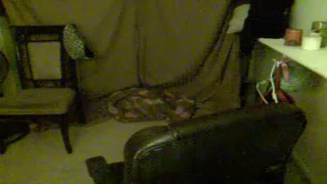 justhavefun37 video [2017/01/18 12:00:28]