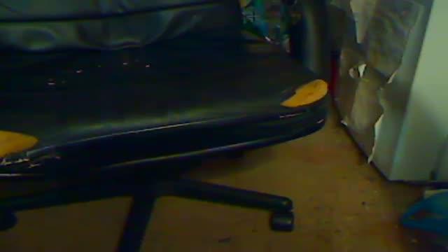 usa_matt adult [2017/01/23 06:45:45]