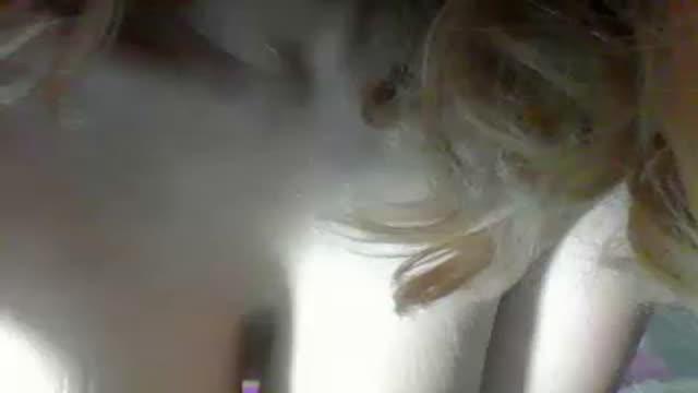 wetalicia nude [2017/01/23 04:46:53]