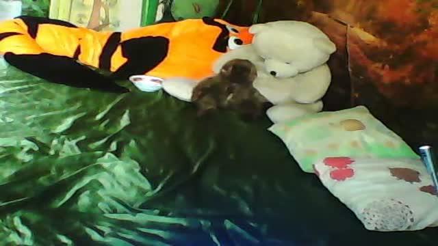 totylkomy353 sex [2015/06/23 15:33:05]