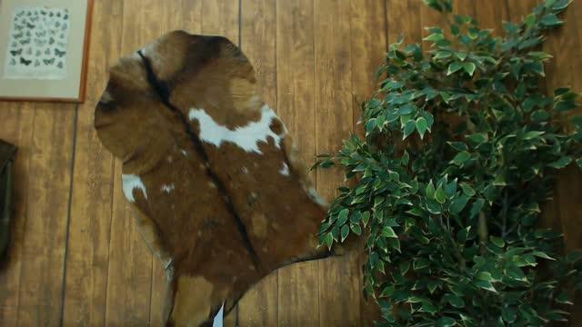 simonleery recorded [2016/02/16 01:36:56]