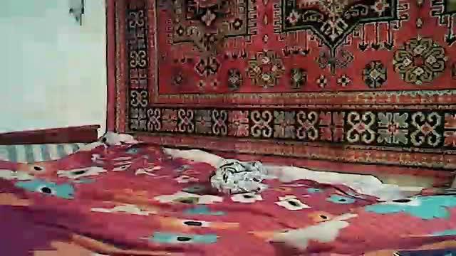 wadim77