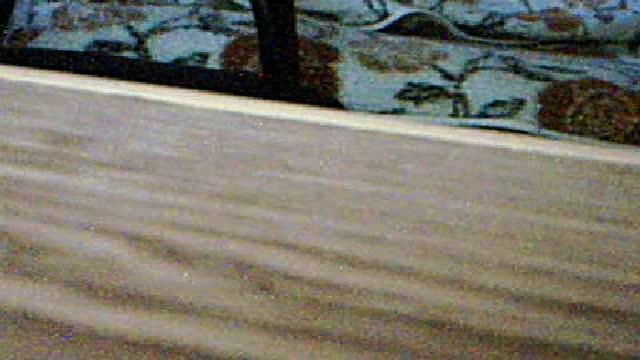 rafal699 download [2015/09/19 17:01:07]