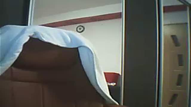 calis_angel adult [2016/02/07 20:50:08]