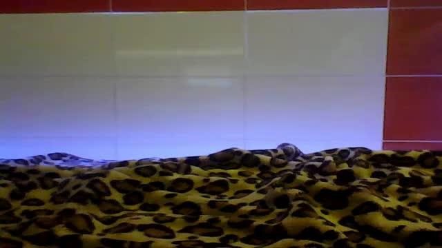 fuckyoubitch cam [2015/09/08 01:01:07]