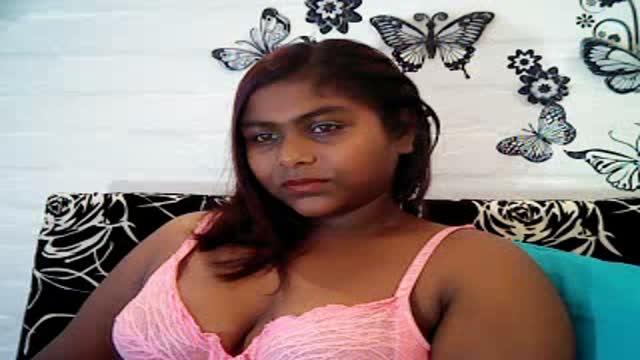 indian_fox