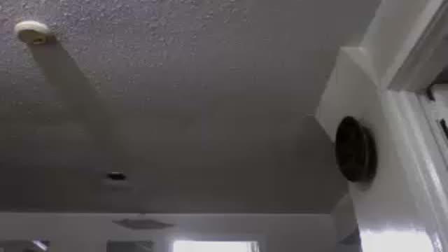 american_honey420 video [2015/07/15 18:34:25]