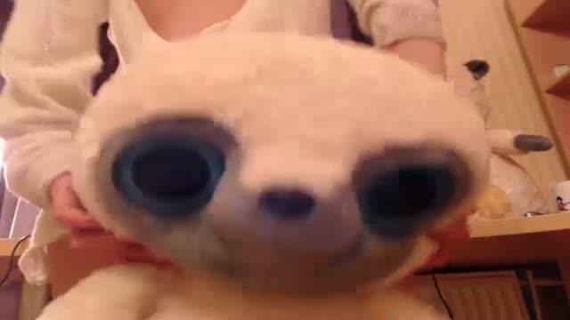 alishax adult [2016/02/28 23:45:26]