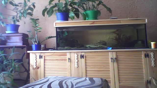 pusia72 download [2015/06/20 11:32:14]