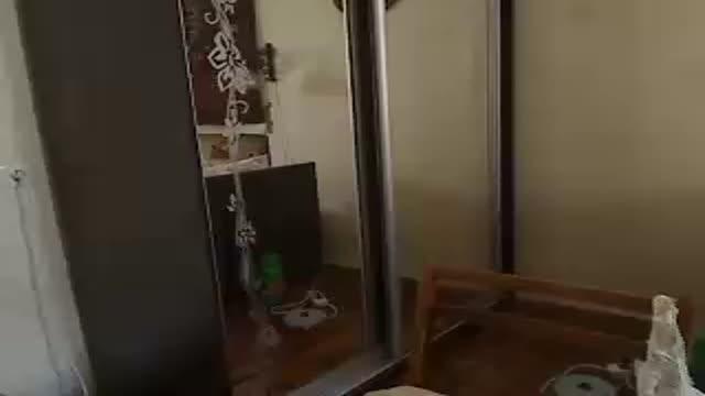 yournatalie5 adult [2017/01/23 08:33:57]