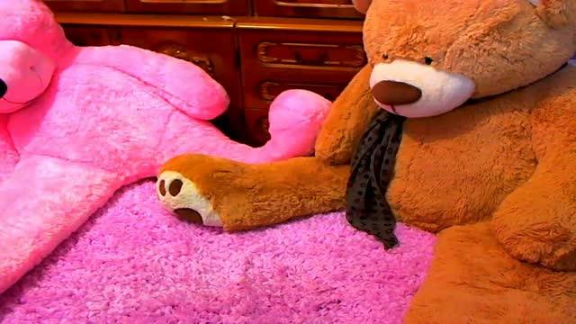 abbyforyou show [2017/01/30 11:24:50]
