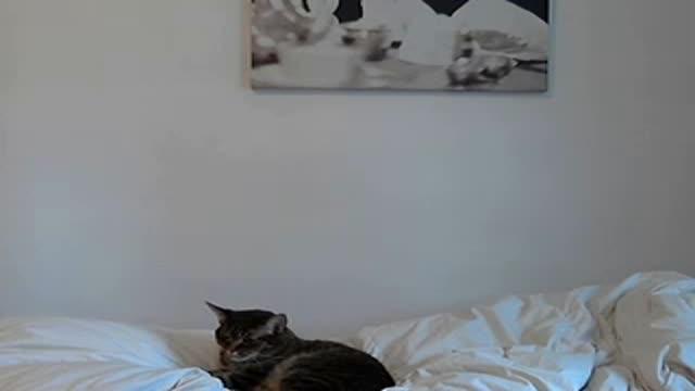 diamondskys naked [2016/03/01 18:17:06]