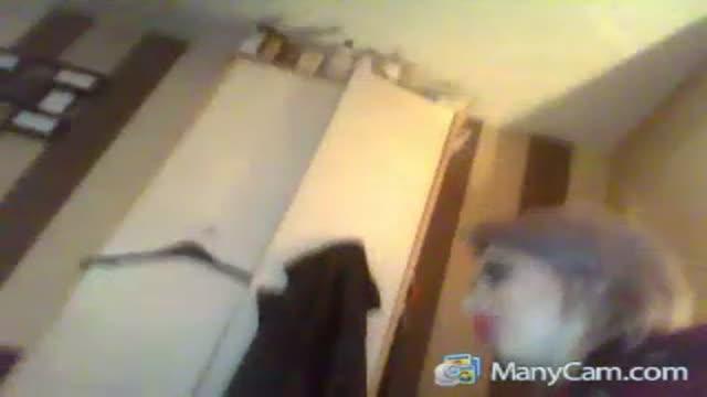 xcooiey recorded [2017/01/19 03:00:42]