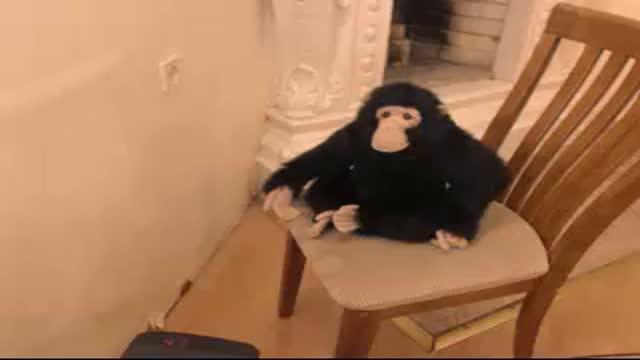 brafas adult [2015/06/18 19:30:51]