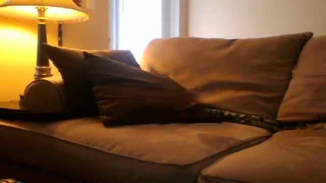 martxxx08 show [2017/01/20 11:19:33]