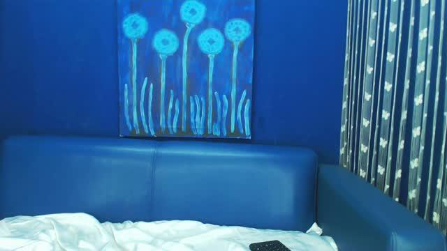 zara webcam [2017/01/19 23:31:38]