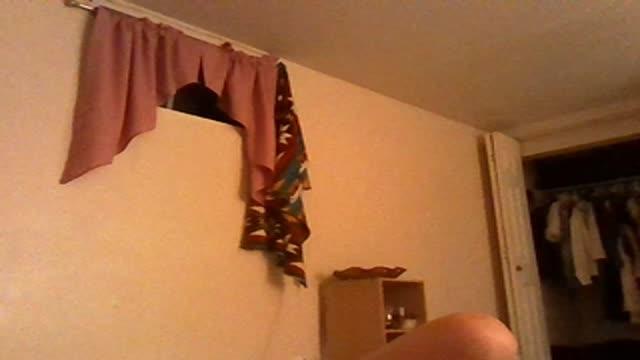 kittycass_ adult [2015/08/02 10:30:27]
