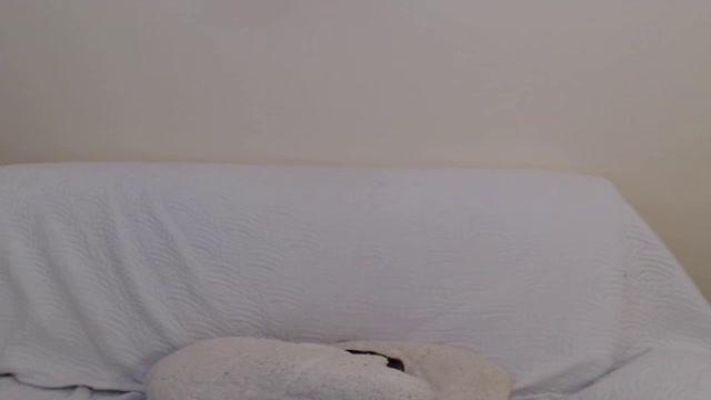 hot_nicky30 recorded [2016/10/03 20:20:41]