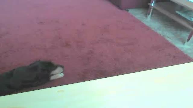 beberum video [2015/09/16 13:15:27]