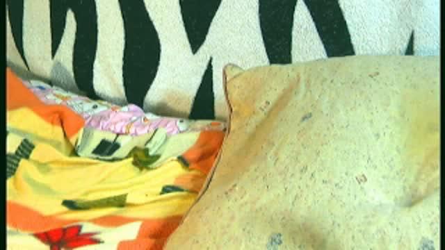 anji cam [2017/01/26 14:00:53]