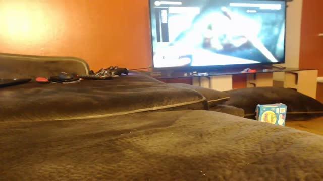 tittymonster19 video [2015/12/24 16:52:09]